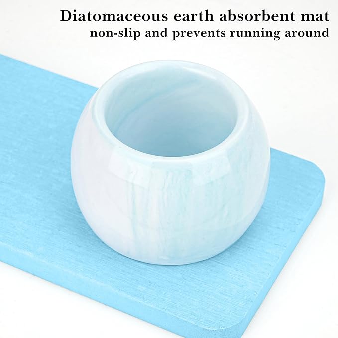 2 Pack Ceramic Toothbrush Holder with Diatomite Toothbrush Tray for Bathroom Shower Countertop Storage Organizer, Small Toothpaste Razor Electric Tooth Brush Head Stand (Blue)