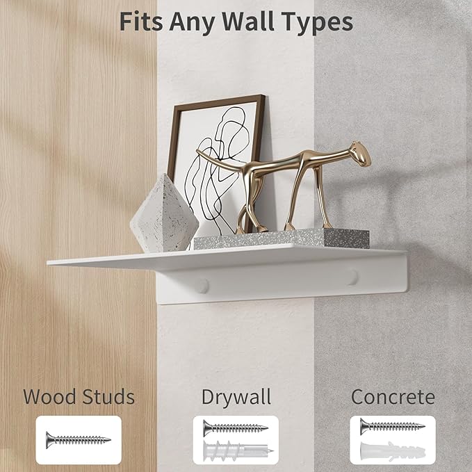 Danpoo 12 inch White Metal Wall Shelf Small Floating Shelf for Wall Organizer & Storage, Display Shelf for Bathroom, Living Room, Kitchen, Bedroom