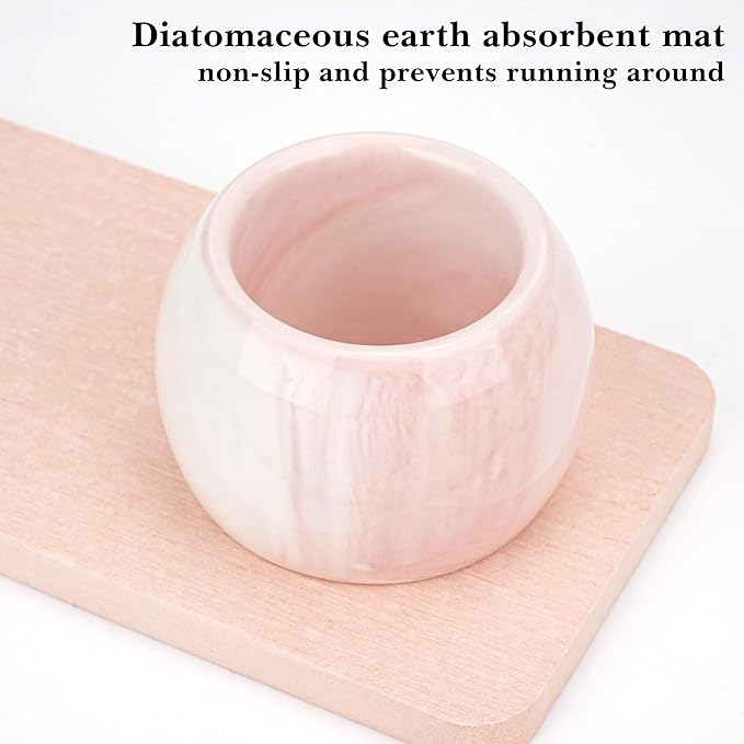 2 Pack Ceramic Toothbrush Holder with Diatomite Toothbrush Tray for Bathroom Shower Countertop Storage Organizer, Small Toothpaste Razor Electric Tooth Brush Head Stand (Pink)