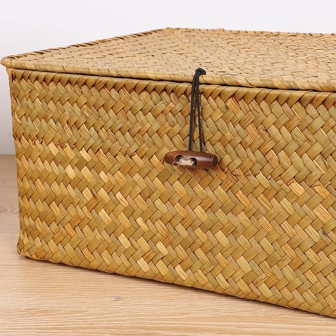 FEIALNDUO Wicker Shelf Baskets with Lid,Seagrass Storage Basket Bins Rectangular Handwoven Basket Boxes for Shelves Desktop Home Organizer (Natural, Medium)