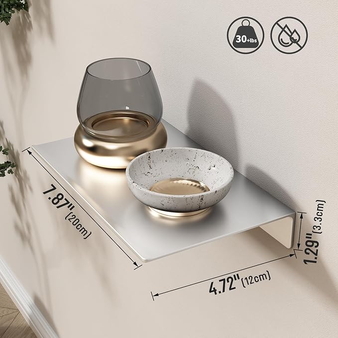 Danpoo 8 inch Small Floating Shelf for Wall Organizer & Storage, Mini Display Shelf, Metal Wall Shelf for Bathroom, Living Room, Kitchen, Bedroom(Silver)