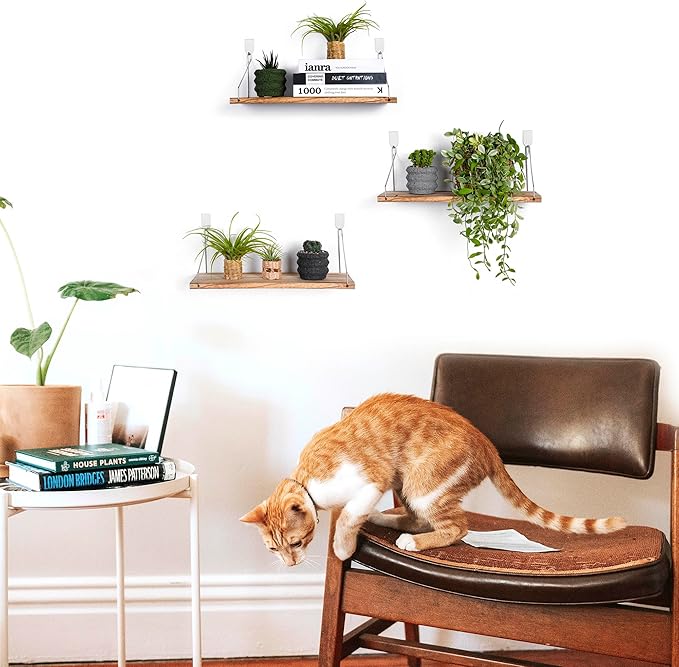 Floating Shelves Set of 3 Rustic Solid Wood Floating Shelf Wall Storage Shelves for Living Room, Bedroom, Bathroom, Kitchen Laundry, Office,no Drill Shelf(Light Color L+L+L)