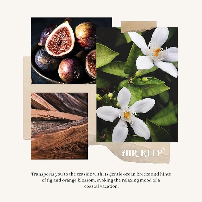 Airkeep Reed Diffuser Set/Ocean Mist&Sea Salt/6.76 fl oz(200ml)/1 Pack/Home & Office Decor Aromatherapy Diffuser Oil Gift Set