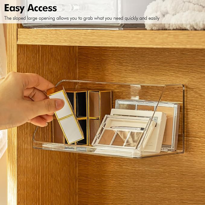Poeland Medicine Cabinet Shelves Organizer, Wall Mounted Storage Organizer, Clear Storage Box for RV Bathroom, Bedroom, Personal Organizers (Transparent)