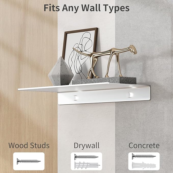 Danpoo 12 inch Metal Wall Shelf Small Floating Shelf for Wall Organizer & Storage, Display Shelf for Bathroom, Living Room, Kitchen, Bedroom(Silver)